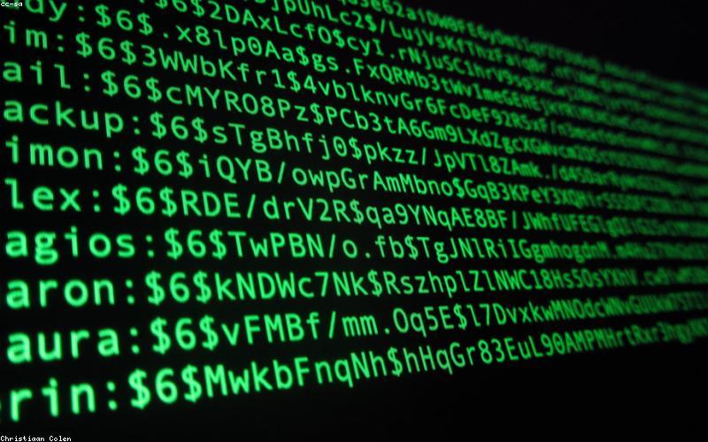 Best Password Managers in 2026: Free and Paid Options
